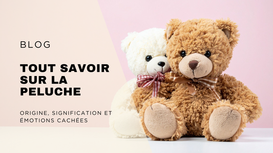 bannière article de blog Tout Savoir sur La Peluche