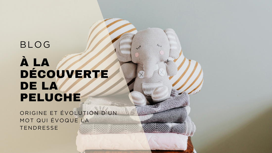 À la Découverte de la Peluche : Origine et Évolution d'un Mot qui Évoque la Tendresse