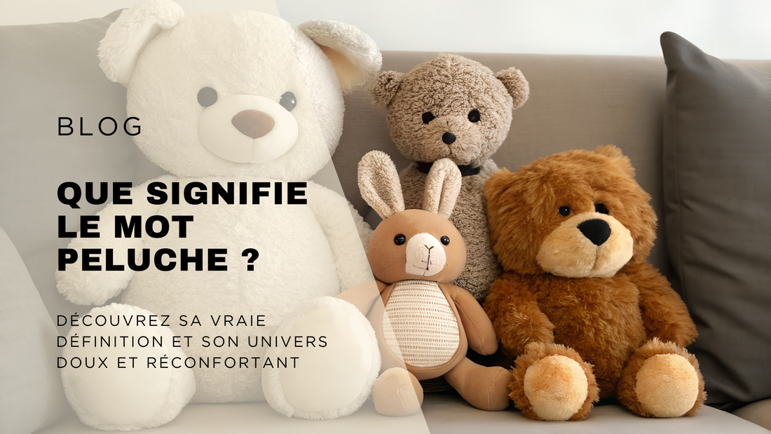 bannière de blog : "Que signifie le mot peluche ?"