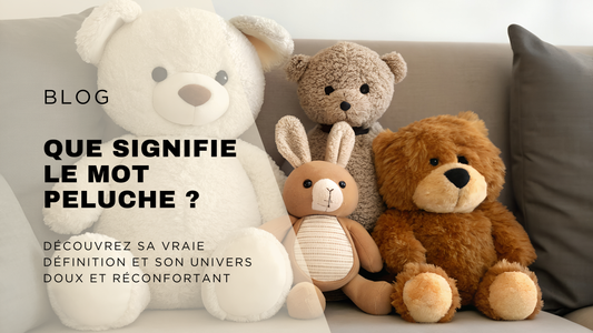 bannière de blog : "Que signifie le mot peluche ?"