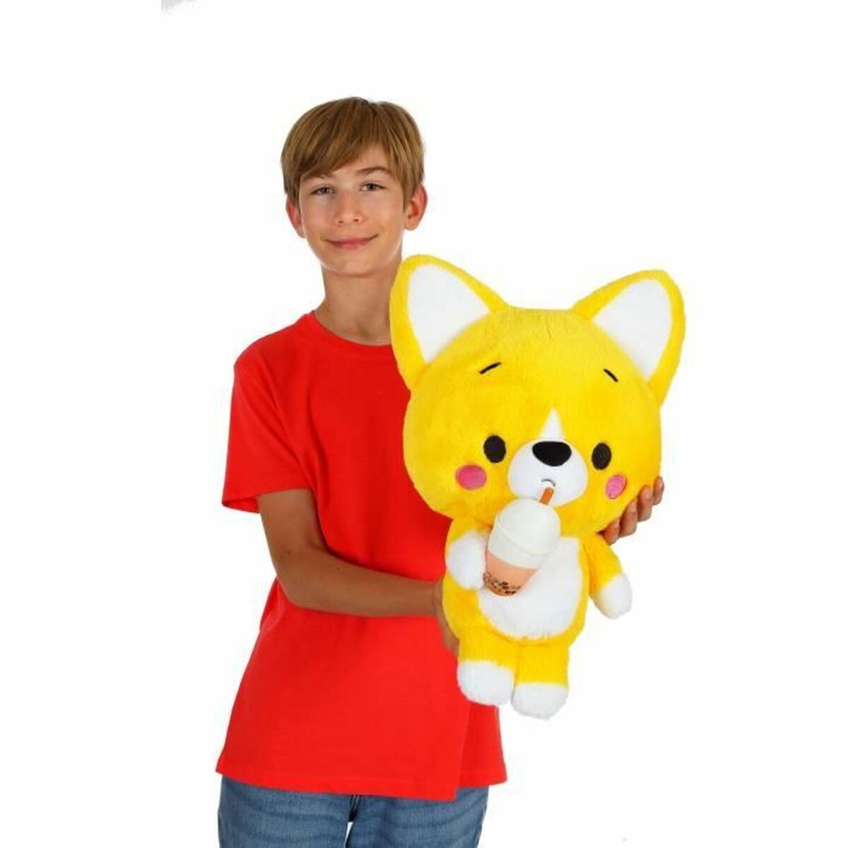 jeune garçon qui présente la peluche kawaii little corgi cuties