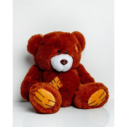 ours en peluche teddy