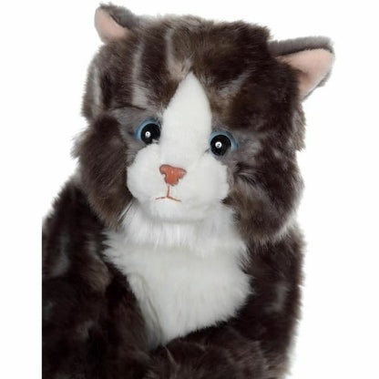 tête de la peluche chat mimiz gris