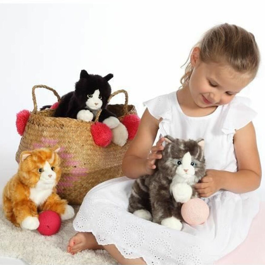 trio de couleurs de la peluche chat
