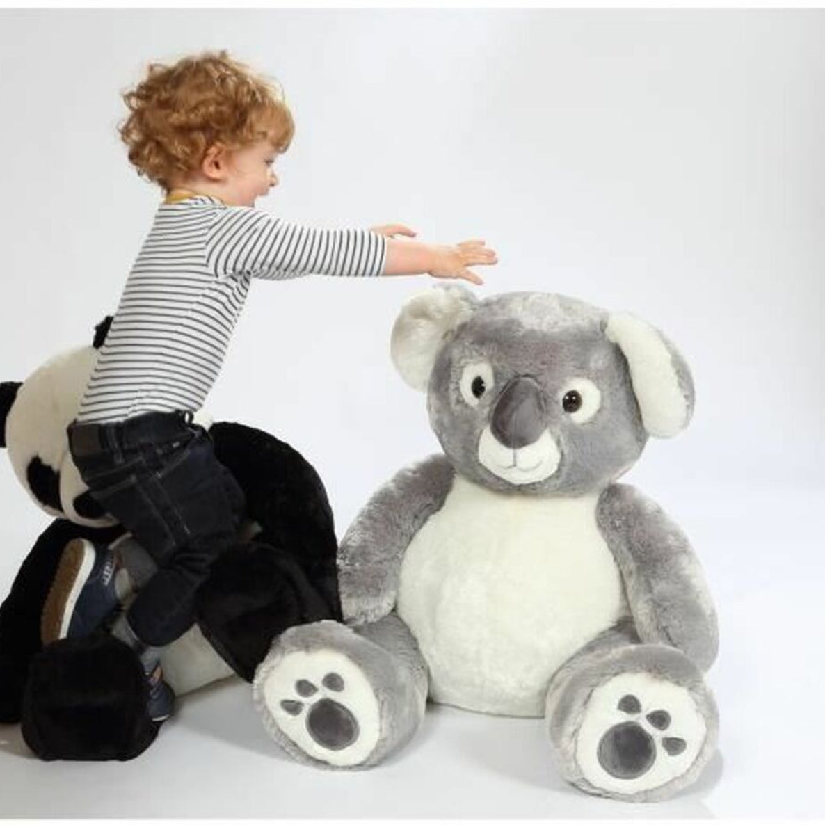 Peluche koala grise avec un petit garçon qui veut l'attraper
