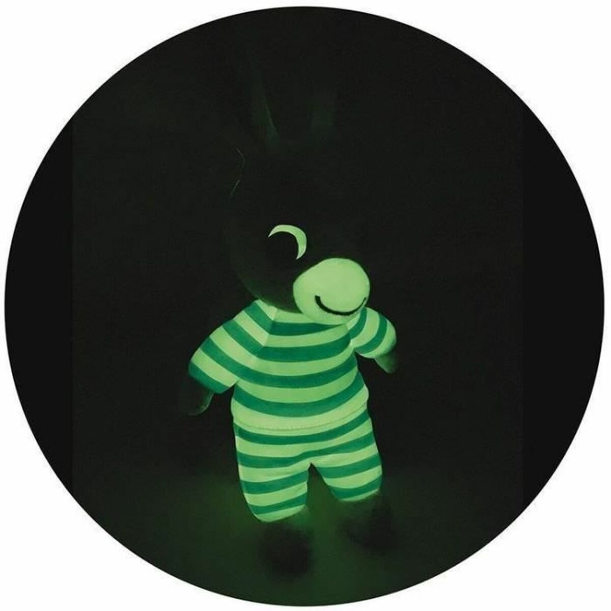 trotro peluche photoluminescent dans la nuit