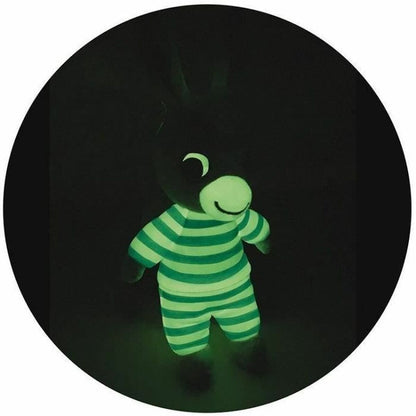 trotro peluche photoluminescent dans la nuit